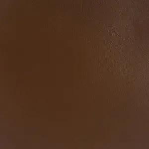 Camel Leather Swatch