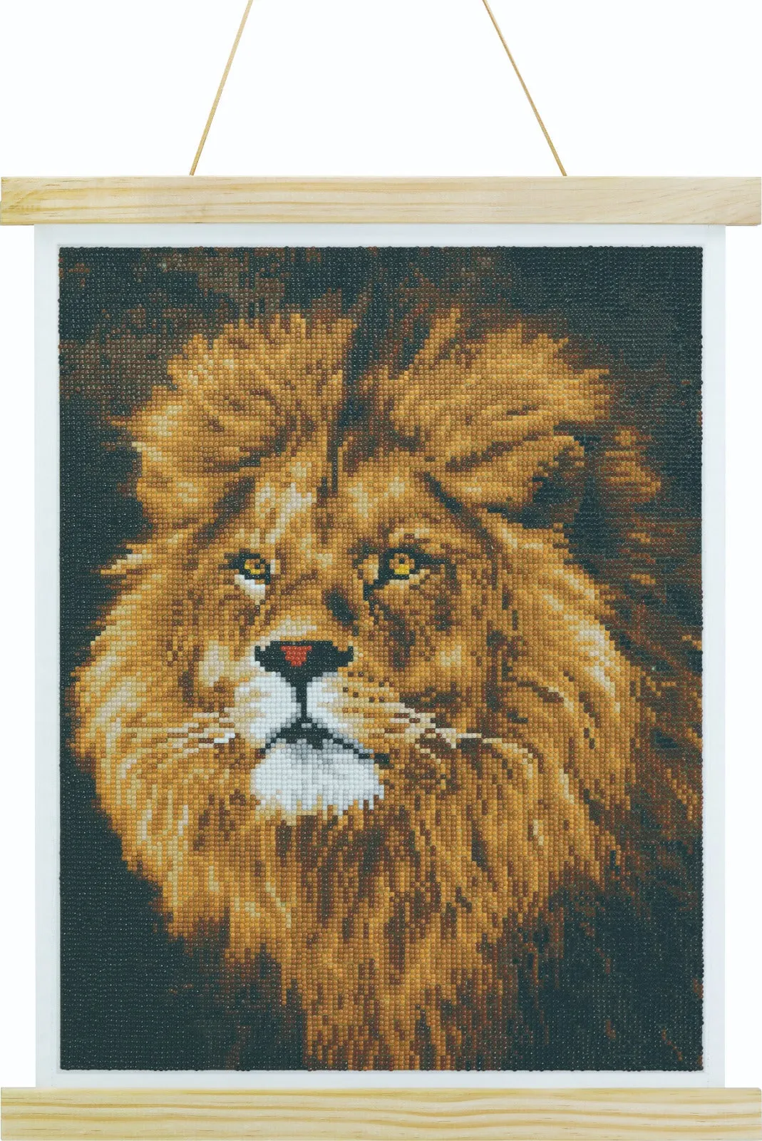 CAS-04L: Crystal Art 40x50cm Scroll Kit - Majestic Mane