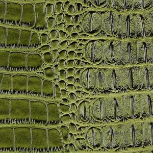 Green Metallic Gator Vinyl Fabric