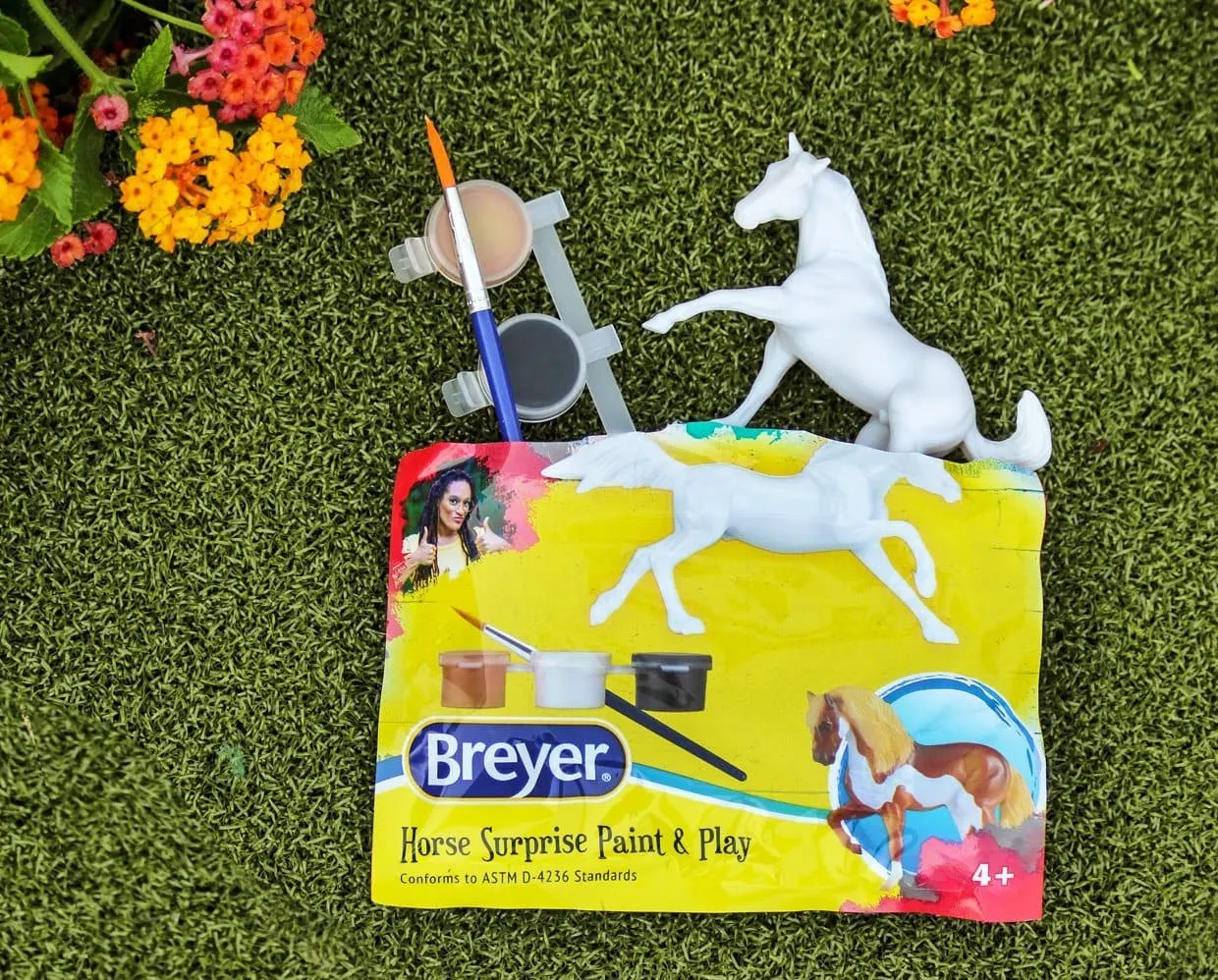 Horse Surprise Paint & Play Blind Bag | Individual Blind Bag