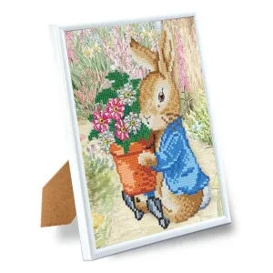 "Peter Rabbit" Crystal Art Framed Picture Kit 21x25cm